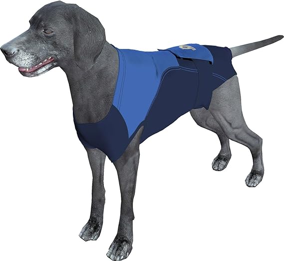 Alternatives to e collar for dogs sale